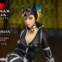 Catwoman Ninja Deluxe