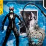 Catwoman Gold Label Build A