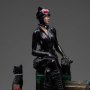 Catwoman Gotham City Sirens Deluxe