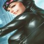Catwoman Gotham Sirens Art Print Framed (Stanley Lau)