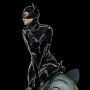 Batman Returns: Catwoman Legacy