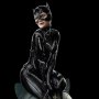 Catwoman Legacy