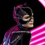 Catwoman Legacy