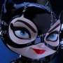 Catwoman Mini Co Deluxe