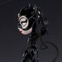Catwoman Mini Co Deluxe