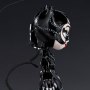 Catwoman Mini Co Deluxe