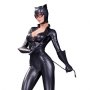 Cover Girls Of DC: Catwoman (Stanley Lau)
