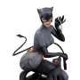 DC Comics Designer: Catwoman (Stanley Lau)