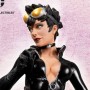 Catwoman (studio)