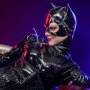 Catwoman Deluxe (Cat Lady)