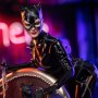 Catwoman Deluxe (Cat Lady)