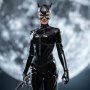 Catwoman Deluxe (Cat Lady)