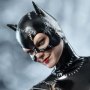 Catwoman Deluxe (Cat Lady)
