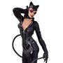 Batman Arkham City: Catwoman Full Color