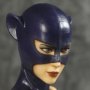 Catwoman (Luis Royo) (SDCC 2014)