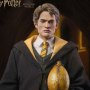 Cedric Diggory Triwizard Tournament Deluxe