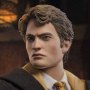 Cedric Diggory Triwizard Tournament Deluxe