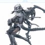 Alien Vs. Predator: Celtic Predator Throws Alien