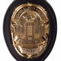 Flash TV Series: Central City Police Badge
