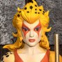 Cheetara Super Speedy Thundercats Warrior Ultimates