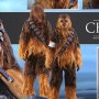 Chewbacca