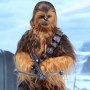 Chewbacca