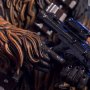 Chewbacca And C-3PO (CCXP 2016)