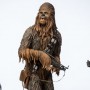 Chewbacca (Sideshow) (studio)