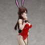 Chizuru Mizuhara Bunny