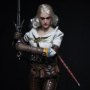 Witcher 3-Wild Hunt: Ciri (Witch)