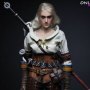 Ciri (Witch)