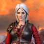 Ciri Armored (Lady Of Space And Time)