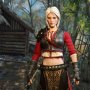 Ciri Armored (Lady Of Space And Time)