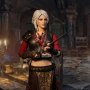 Ciri Armored (Lady Of Space And Time)