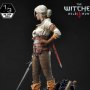 Ciri Fiona Elen Riannon Bonus Edition