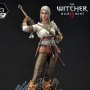 Ciri Fiona Elen Riannon Bonus Edition