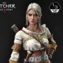 Ciri Fiona Elen Riannon Bonus Edition