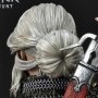 Ciri Fiona Elen Riannon Alternative Outfit Deluxe Bonus Edition