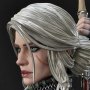 Ciri Fiona Elen Riannon Alternative Outfit Deluxe Bonus Edition