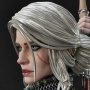 Ciri Fiona Elen Riannon Alternative Outfit