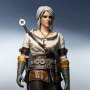 Witcher 3-Wild Hunt: Ciri (Lady Of Space And Time)