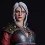 Ciri Alternative Outfit (Lady Of Space And Time)