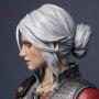 Ciri Alternative Outfit (Lady Of Space And Time)