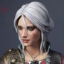 Ciri Alternative Outfit (Lady Of Space And Time)
