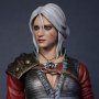 Ciri Alternative Outfit (Lady Of Space And Time)