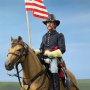 Civil War Brown War Horse Standing