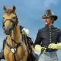 Civil War Brown War Horse Standing