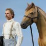 Civil War Brown War Horse Standing