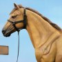 Civil War Brown War Horse Standing