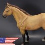 Civil War Brown War Horse Standing